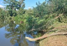 Ribiči pozivaju: Sutra akcija čišćenja jezera Orašje