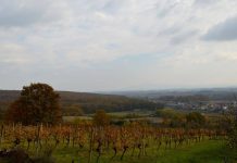 Općina Staro Petrovo Selo poziva: Saznajte o osnovnoj jesenskoj organskoj gnojidbi