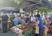 Gradska tržnica u znaku zimnice, najtraženija paprika