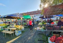 Novogradiška tržnica u jesen