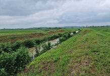 Između Visoke Grede i Savskog Boka pokraj korita Šumetlice pronađen leš nepoznate osobe