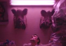 Kino Nova Gradiška: Stiže film “Escort”