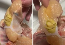 U Novoj Gradiški kupili pileće meso, iz njega izvirilo nešto gadljivo: ‘Kao da je avokado’