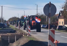 Prosvjed slavonskih svinjogojaca: traktorima stigli u Vinkovce