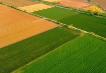 289 javnih natječaja za zakup poljoprivrednog zemljišta i u pripremi još 65