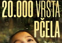 Povodom Dana planeta Zemlje: Iz Doma kulture pozivaju na besplatnu projekciju filma “20 000 VRSTA PČELA”