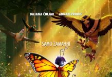 Pogledajte animiran film: PRIČA O LEPTIRU – SINK