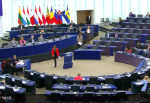 Europski parlament donio prva pravila EU-a za suzbijanje nasilja nad ženama