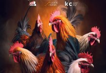 U novogradiški Dom kulture stiže urnebesna predstava “Testosteron”