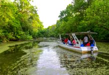 Vikend van grada – Lonjsko polje