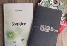 Besplatne elektroničke knjige za sve ljubitelje pisane riječi: Dostupna i zbirka Novogradiščanke Sanje Šimić