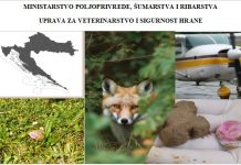 08. lipnja 2024.  započinje proljetna akcija oralne vakcinacije lisica na području Republike Hrvatske!