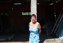 Ovakve “susjede” zasigurno ne biste htjeli imati: U Donjim Bogićevcima žena u dvorištu ima leglo zmija