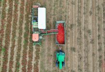 Podravka i Fortenova grupa potpisale kupoprodajni ugovor o preuzimanju Belja, PIK-a Vinkovci i Vupika