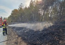 HVZ: U kolovozu u gašenju požara sudjelovalo gotovo 3000 vatrogasaca