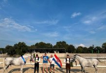 Veliki uspjeh naših uzgajivača na međunarodnoj izložbi lipicanskih konja