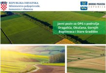 Javni poziv za OPG-ove s područja Dragalića, Okučana, Gornjih Bogićevaca i Stare Gradiške