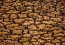 Grad Nova Gradiška: Prijava štete u Državni registar šteta