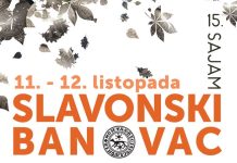 15. SAJAM „SLAVONSKI BANOVAC“ po prvi puta dvodnevan uz dva odlična koncerta