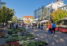 Sutra započinje 25. Novogradiški jesenski sajam