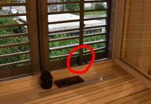 Neobičan gost u Gradskom muzeju!