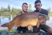 Braća Džebić i Jazvić treći, a ulovili i najvećeg šarana