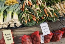 Jesenska ponuda na Gradskoj tržnici