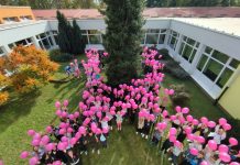 U Osnovnoj školi Mato Lovrak održan “Sajmeni dan”