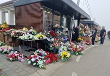 Prodaja cvijeća uz blagdan Svih svetih: I ove godine velika ponuda