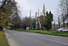 Obavijest građanima: sutra kreću radovi uklanjanje stabala – NE parkirajte automobile na ovu lokaciju