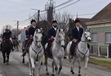 U Rešetarima održano 6. Šokačko jahanje “Kad bećari šorom zapivaju”