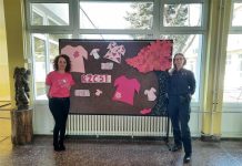 Obilježen Dan ružičastih majica