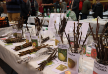 U subotu u Cerniku razmjena plemki voća, vinove loze i sjemenja povrća “Sačuvajmo stare sorte”