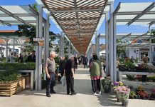 Bogata ponuda novogradiške tržnice: Rasada, sezonsko povrće, riba, sir