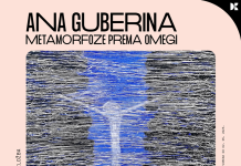 Sutra u Domu kulture ne propustite otvorenje izložbe Ane Guberina