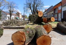 U Gajevoj novi ekocid ili obnova hortikulture grada?