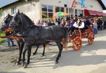 Ne propustite 21. izdanje manifestacije “Uskrs uz tamburu”