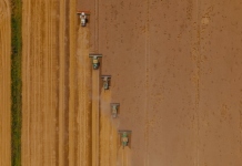 OČI SOKOLOVE: DANAS HRT1 emitira posljednju epizodu