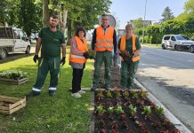 Eko Kong u akciji: Grad u proljetnom ruhu