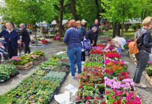 U petak i subotu u Novoj Gradiški 10. Proljetni sajam i 8. Flora fest