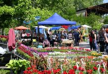 U nedjelju ne propustite veliki 13. Sajam cvijeća i ukrasnog bilja u Lipiku