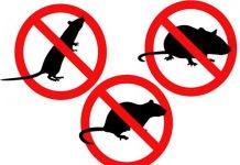 Obavijest iz Grada Nova Gradiška o odgodi deratizacije na području Grada