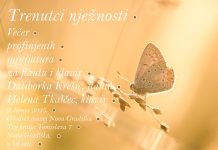 Koncert „Trenutci nježnosti – večer profinjenih minijatura za flautu i klavir“