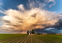 Otvoren natječaj RuralFoto 2025. : Zabilježite čudo sela i osvojite nagrade!