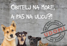 Obitelj na more, a pas na ulicu: Prijatelji životinja pozivaju – NE napuštajte životinje