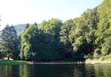 Uskoro tribina Zrinke Ferenčine