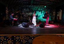 Nastavljen niz odličnih glazbenih gostovanja u Gradskom parku uz NoJazzBand