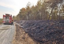Požarna sezona u punom jeku: Apel vatrogasaca „Suzdržite se od paljenja na otvorenom“