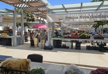 Najšarenije mjesto u gradu: Otkrijte čar Gradske tržnice