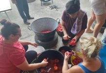 Kad se složne ruke Sičana udruže: Od kuhanja “paradajza” do uređenja škole